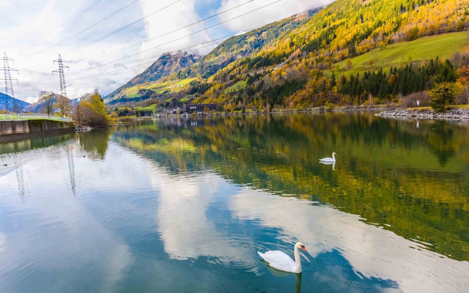 Stausee mit zwei Schwänen in Mühldorf