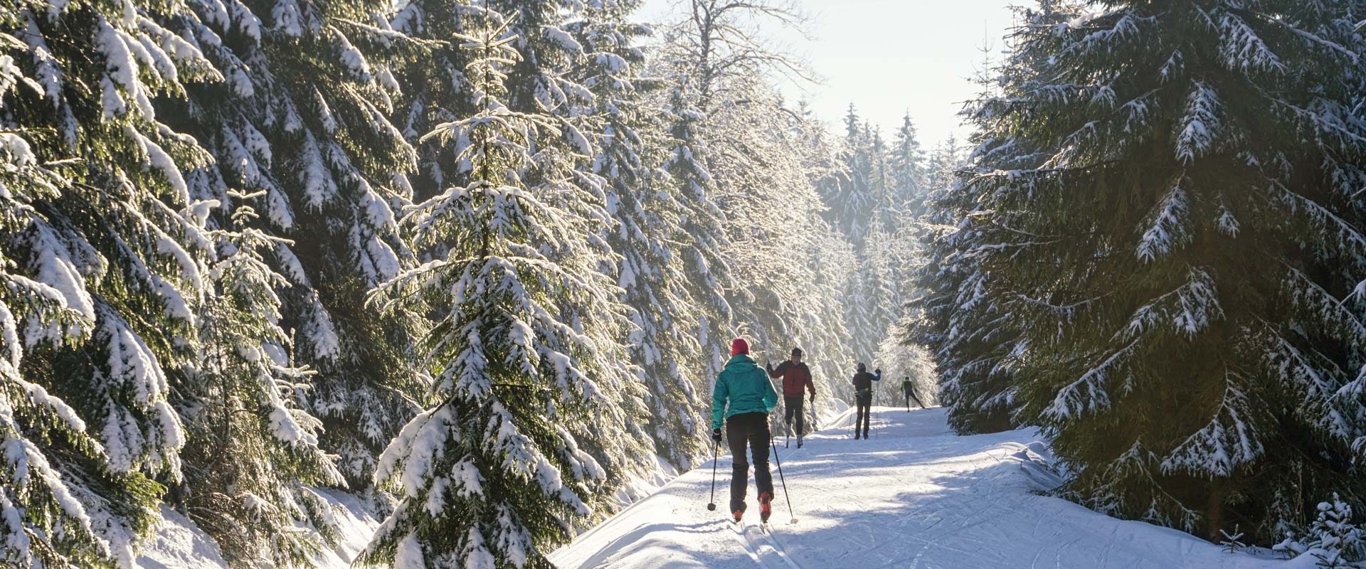 Langlaufloipe mit Langläufern in einer verschneiten Winterlandschaft