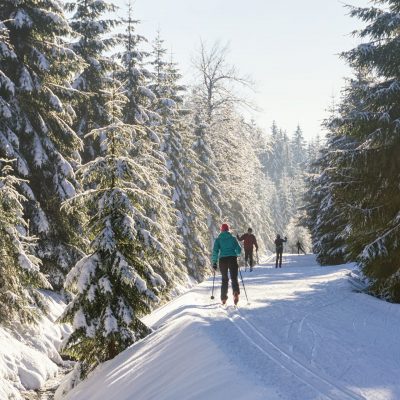 shutterstock_546338827