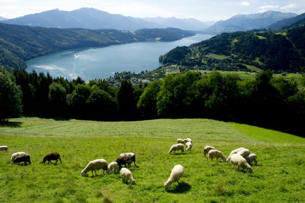 Millstätter See