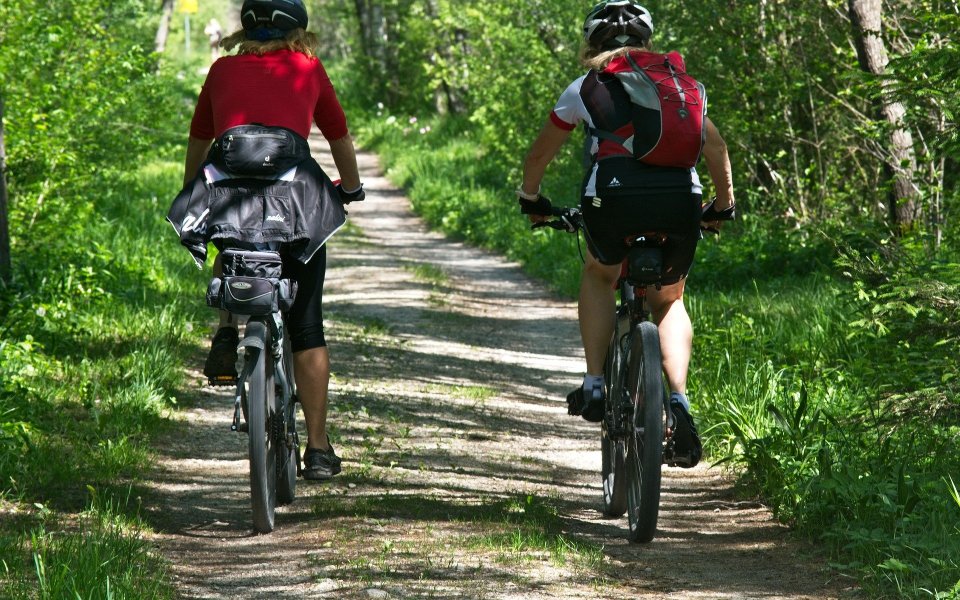 Radfahrer auf einem Waldweg