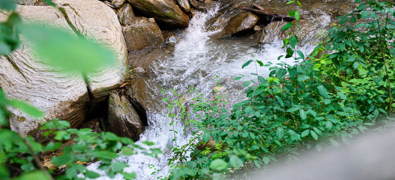 Mühldorferbach in der Barbarossaschlucht
