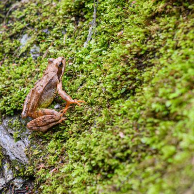 photo-baurecht19